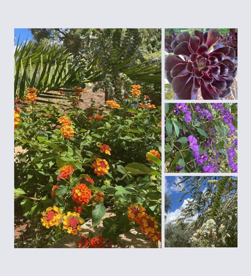 Granace Villa U Tramontu מראה חיצוני תמונה