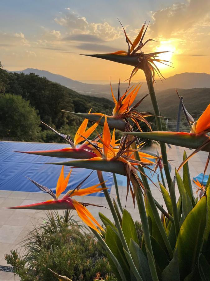 Granace Villa U Tramontu מראה חיצוני תמונה